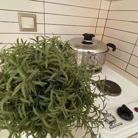 Дом отдыха Arxodis Naxos City