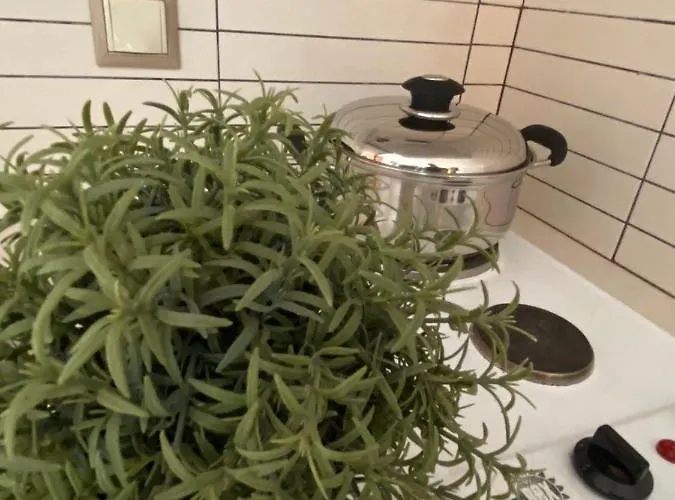 Semesterbostad Arxodis Naxos City